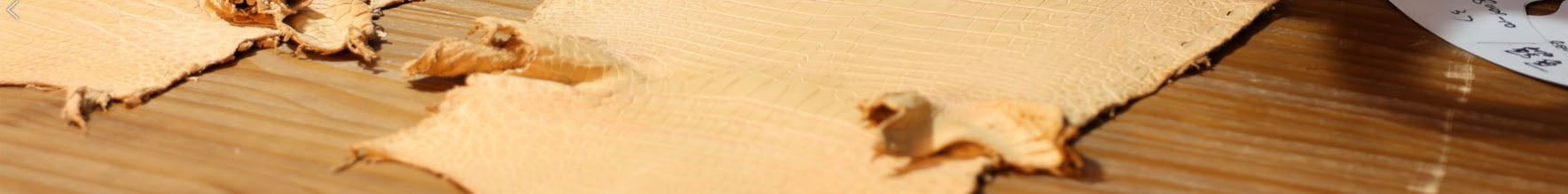collection-banner-image
